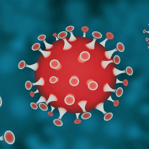 Zeichnung Corona-Virus