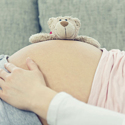 Plüschtier auf dem Bauch einer schwangeren Frau. 