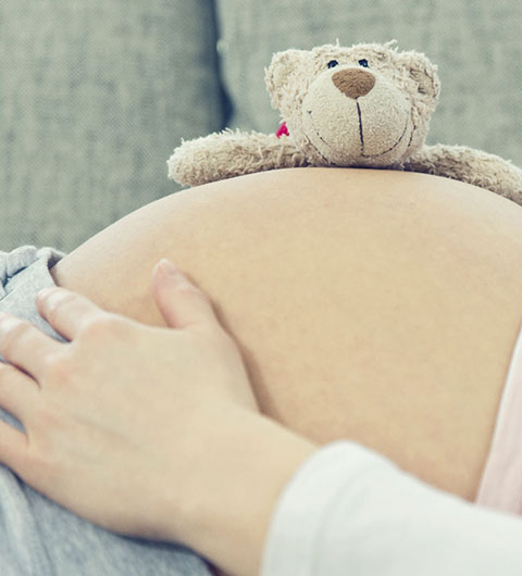 Plüschtier auf dem Bauch einer schwangeren Frau. 